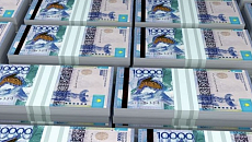 About $17 billion  illegally withdrawn from Kazakhstan annually - Senate
