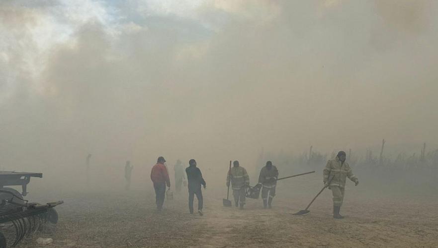 Уголовное дело возбуждено по факту природного пожара в Алматинской области