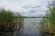 Вода в Камыш-Самарские озера в ЗКО поступит впервые за 20 лет – минводресурсов