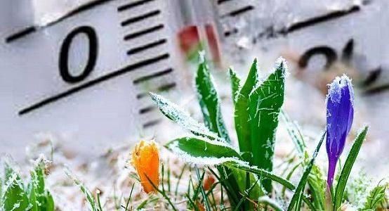 Frosts on soil surface forecasted in two regions of Kazakhstan on June 5