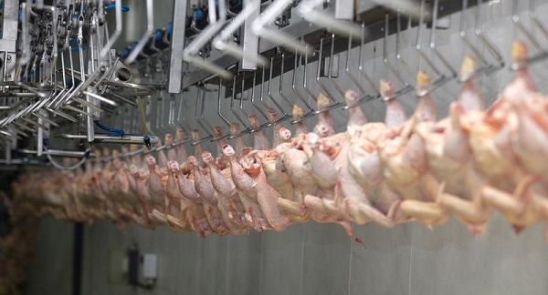Отменены ограничения на транзит мяса птицы через Россию в Казахстан
