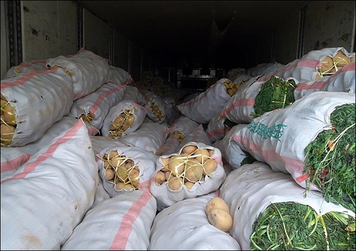 Более 40 тонн казахстанской и кыргызской продукции не допустили к ввозу в РФ
