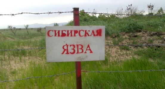 Village closed for quarantine, five people hospitalized with anthrax assumption in Akmola region