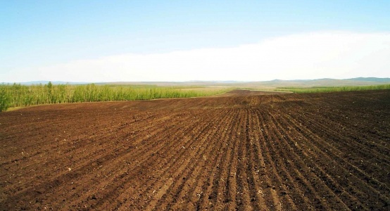 670 000 hectares of land returned to state since 2015 in North Kazakhstan region