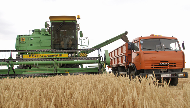 Почти на 23% упала за год средняя урожайность зерновых и зернобобовых в Казахстане