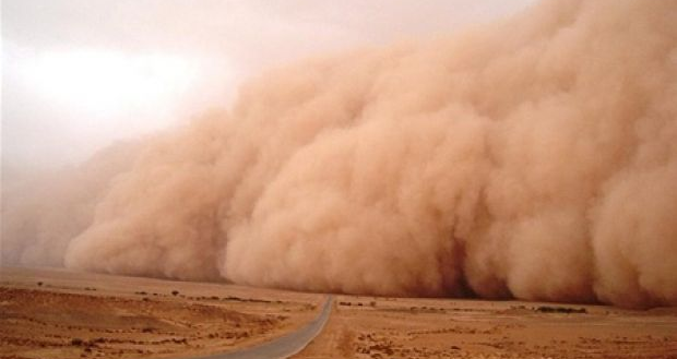 Сильная жара и пыльная буря ожидаются в среду в Кызылординской области