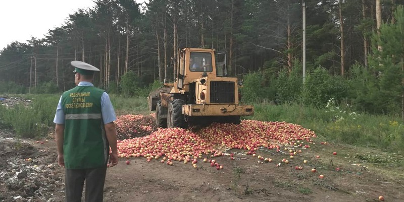 Крупную партию яблок из РК уничтожили в РФ из-за «схожести» с санкционной продукцией