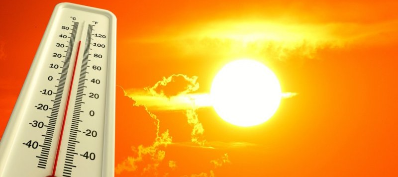 Сильная жара ожидается в понедельник в пяти областях Казахстана