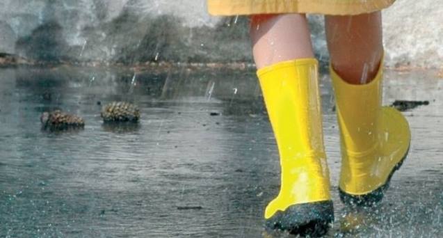 Обильные дожди привели к подтоплению дворовых участков в ВКО