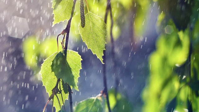 Неустойчивая дождливая погода сохранится в субботу на большей части Казахстана