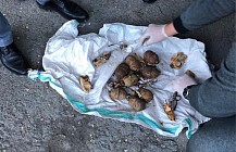 Алматы облысында гранаталар мен тұтатқыштарды сатумен айналысқан топ ұсталды