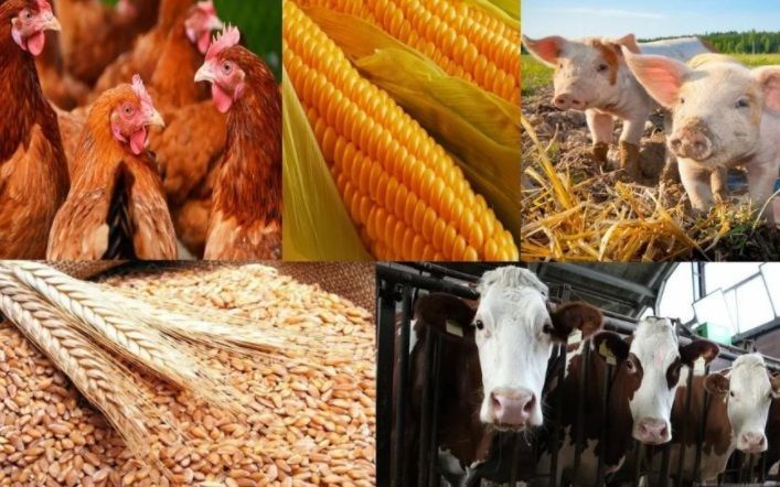 МСХ РК отрицает иждивение: Сельское хозяйство во всем мире является дотационной отраслью 