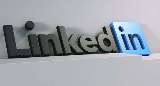 Kazakhstan is interested in cooperation with LinkedIn social network