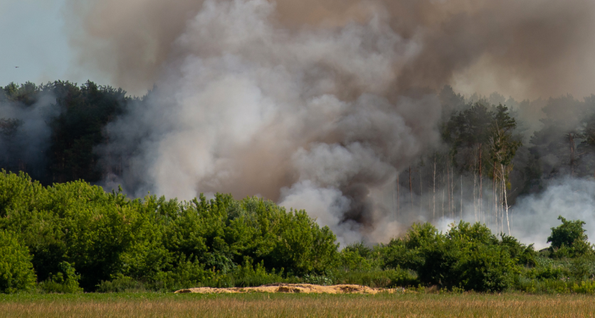 Пожары в Костанайской области не нанесли значительного ущерба АПК – минсельхоз