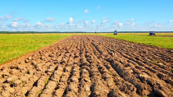 Сенат РК согласился отложить норму о передаче сельхозземель частникам до конца 2026 года