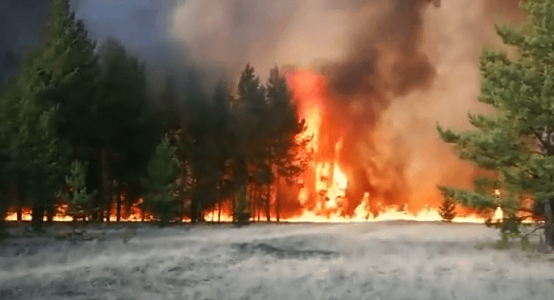 Area of fire in the steppe forestry in Pavlodar region has reached 1 thousand hectares