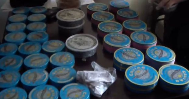 Крупную партию контрафактной икорной продукции изъяли в Атырау