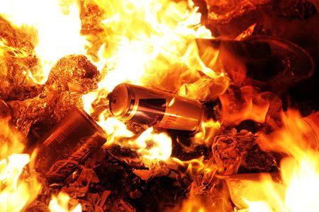Мажилис одобрил законодательные поправки о сжигании мусора в первом чтении