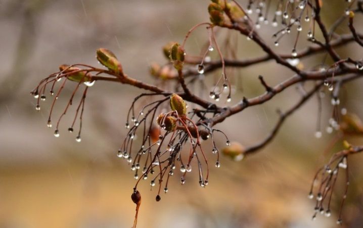 Дождь ожидается в пятницу на большей части Казахстана 