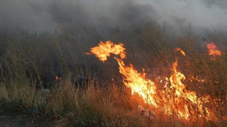 Сухостой горит на горном склоне в Алматы, появилась угроза для частного сектора