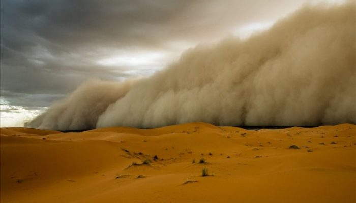 В сотни миллионов долларов оценили потенциальные убытки от одной песчаной бури в ООН