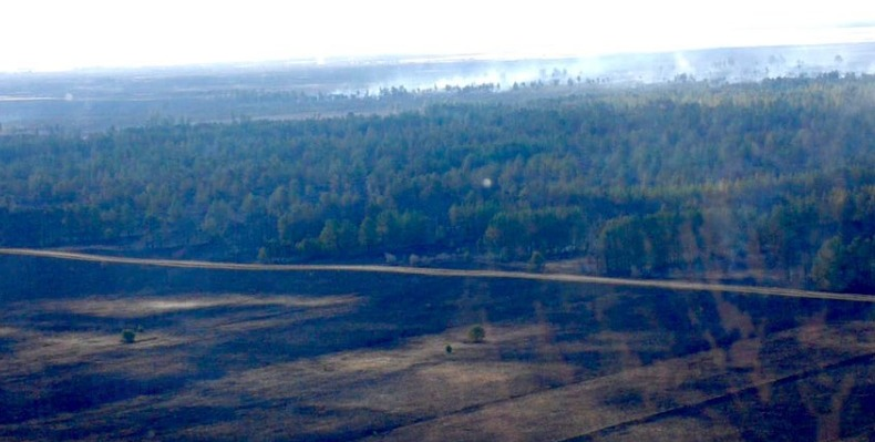 Вспыхнувший на 1,2 тыс. га лесной пожар в Павлодарской области потушили через двое суток