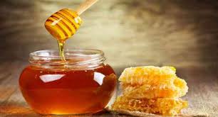 Chinese inspectors arrived to Kazakhstan to estimate honey quality