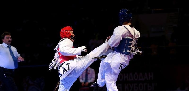 Две серебряные медали выиграли казахстанские таеквондисты на турнире в Москве