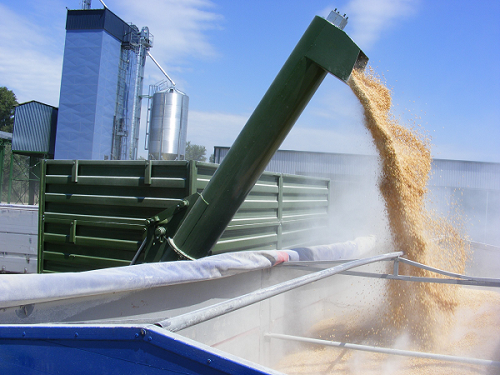 Беларусь устранит барьеры для экспорта зерна на рынке ЕАЭС