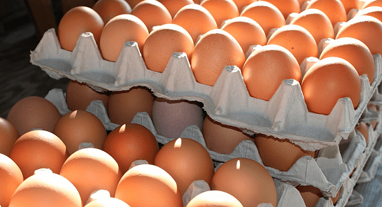 Maximum permissible retail prices for eggs temporarily set in Almaty