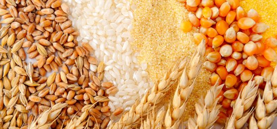 Потребление пшеницы, риса и кукурузы в мире будет опережать темпы роста населения – ФАО