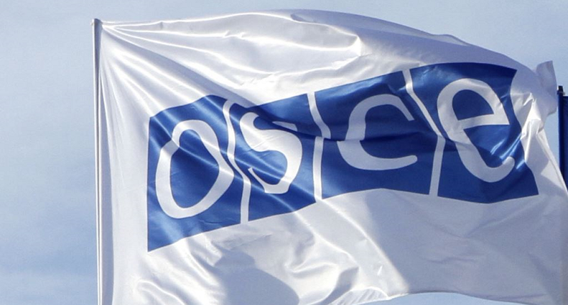 Создание центра ОБСЕ по устойчивой взаимосвязанности обсудили в Казахстане 