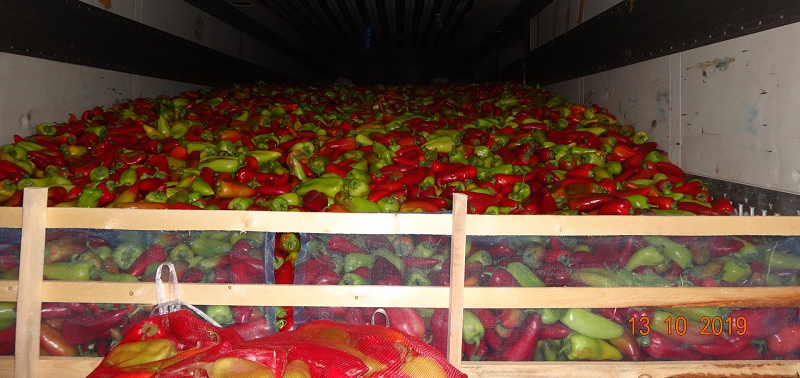 Почти 218 тонн свежего казахстанского перца не разрешили ввезти в Россию