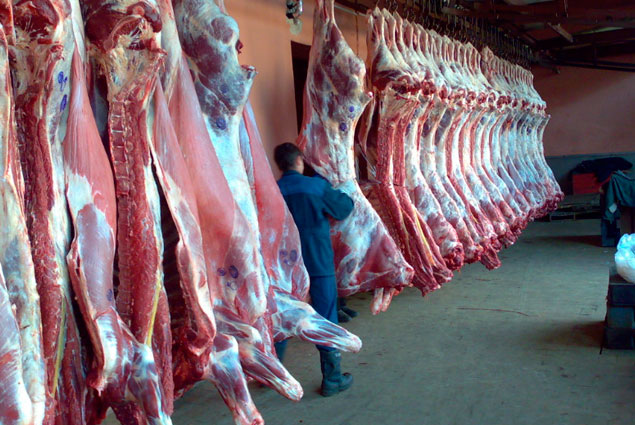 Более 9 тыс. тонн говядины импортирует в 2018 г. Казахстан