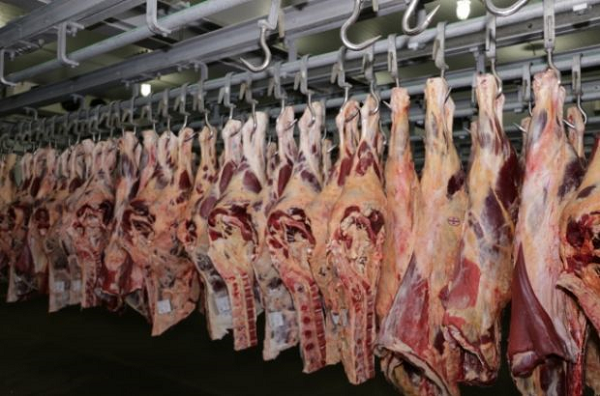 Около 82 тонн животноводческой и растительной продукции из РК запретили к ввозу в РФ
