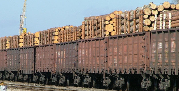 Рабочая группа создана в Казахстане по ситуации с застрявшими грузовыми поездами из России