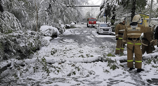 Four districts in Shymkent de-energized in following snowfall, more than 20 cars damaged