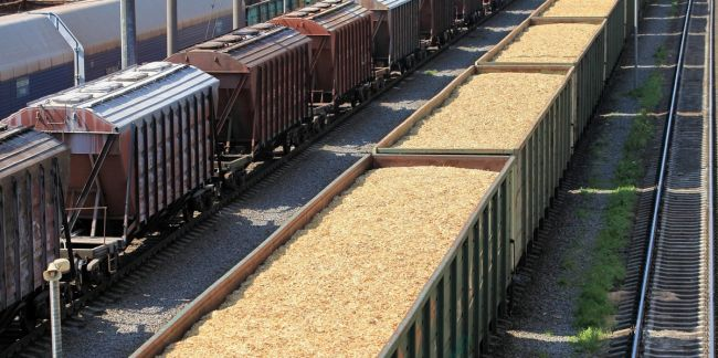 Штрафы за простой зерновозов отменили до конца года на железных дорогах Казахстана