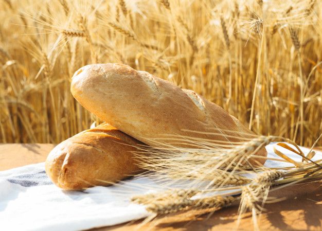 Стоимость зерна не будет провоцировать искусственное повышение цен на муку и хлеб - МСХ РК