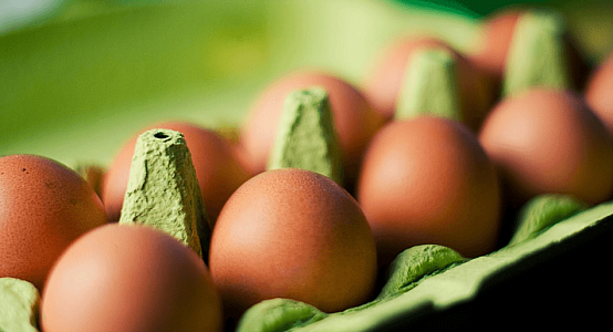 Cost of eggs of the 1st category was frozen for three months in the Mangystau region
