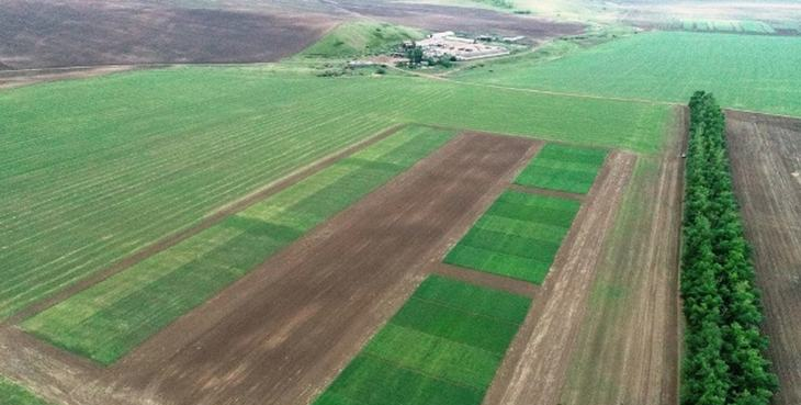 Выдавать сельхозземели казахстанцам в аренду на 49 лет пообещал минсельхоз