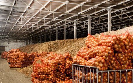 605 тонн овощей заложили в стабфонд Атырау - эксперт