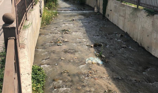 В Алматы отобрали пробы воды реки Каргалы после видео об обнаружении пены