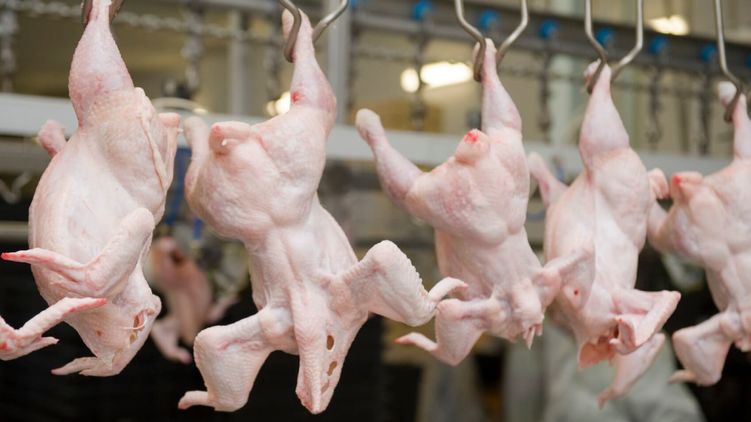 Еврокомиссия проверит украинскую систему контроля качества курятины