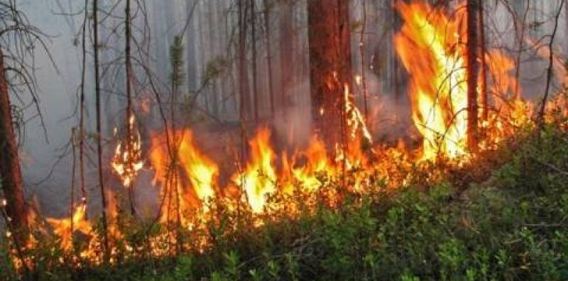 Катон-Карагайский национальный природный парк горит в ВКО
