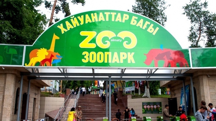 Алматинский зоопарк может стать для «зоозащитников» выгодной площадкой для торговли животными