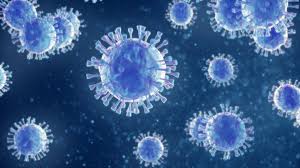 Risk of coronavirus contraction worries 60% of surveyed people in Kazakhstan  - poll