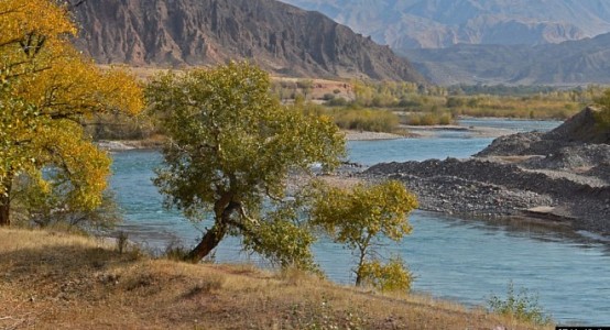 Тело сына высокопоставленного чиновника нашли в реке в Кыргызстане