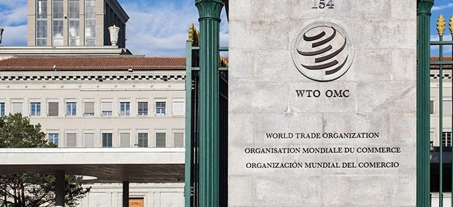 Казахстан ответил на жалобу Кыргызстана в ВТО