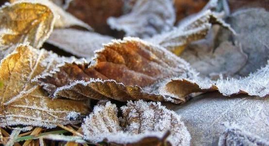 Frosts forecasted in southern Kazakhstan in early October